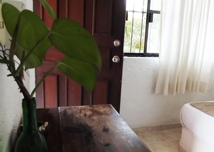 Matisse Tulum